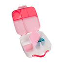 Whole Foods Bento Lunch Box