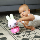 Honey Bunny