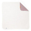 Antibacterial Multipurpose Swaddle