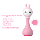Smarty Shake & Tell Rattle