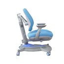 Kaiser Chair