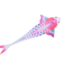 Legend Of Carp Kite