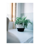 Zoco Natural Basket