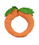 Cathy the Carrot