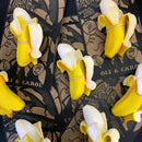 Ana Banana
