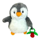 RaZBuddy Paci Holder