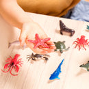 Sea Animals In Tube