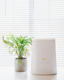 Top Fill Ultrasonic Cool Mist Humidifier