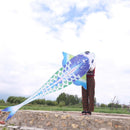 Legend Of Carp Kite