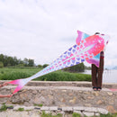 Legend Of Carp Kite