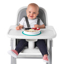 Stick and Stay Suction Divided Plate