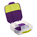 Whole Foods Bento Lunch Box