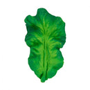 Kendall the Kale